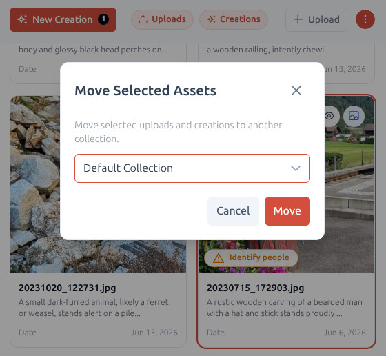 Dialogfeld „Ausgewählte Assets verschieben“ mit einem Dropdown-Menü für die Zielsammlung