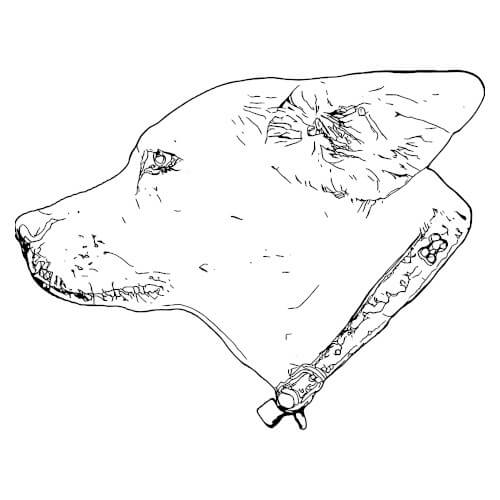 Black-and-white dog coloring page created from the source photograph