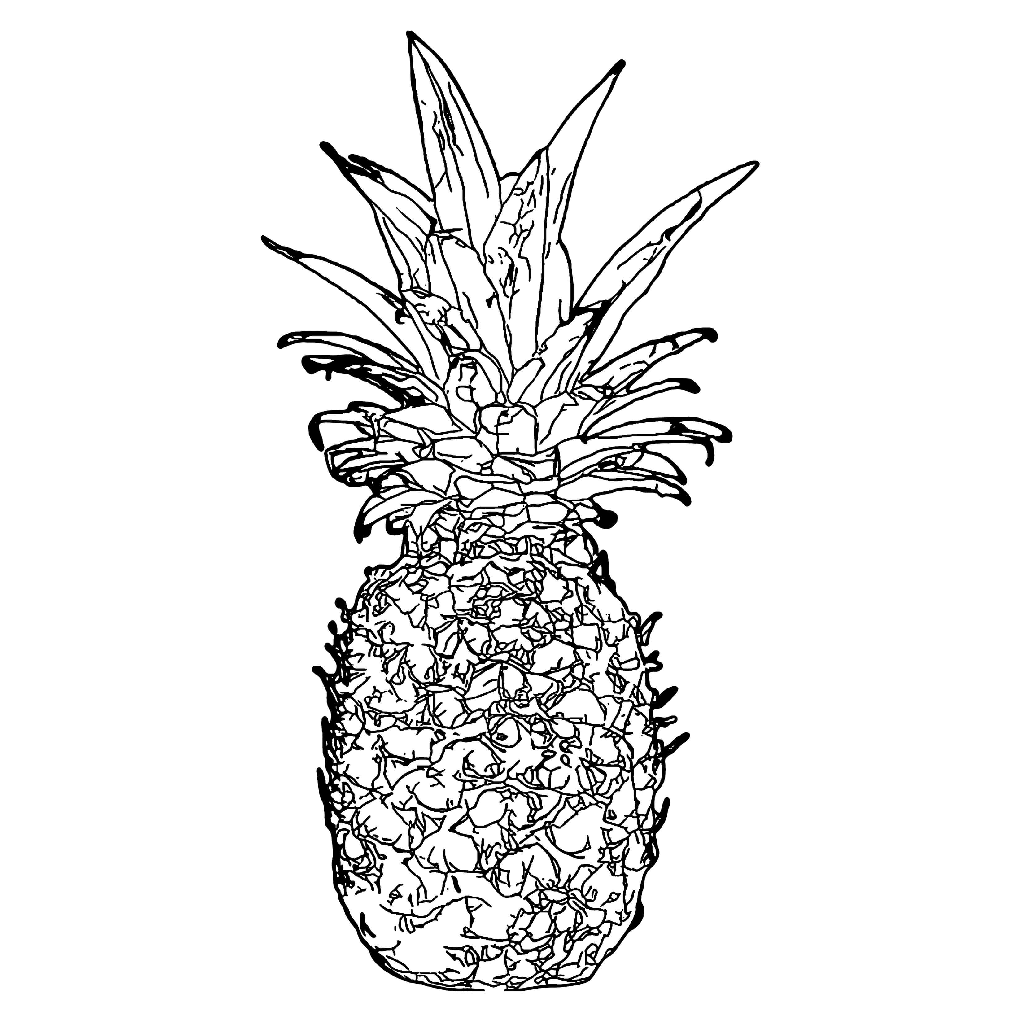Detailed pineapple coloring-page example