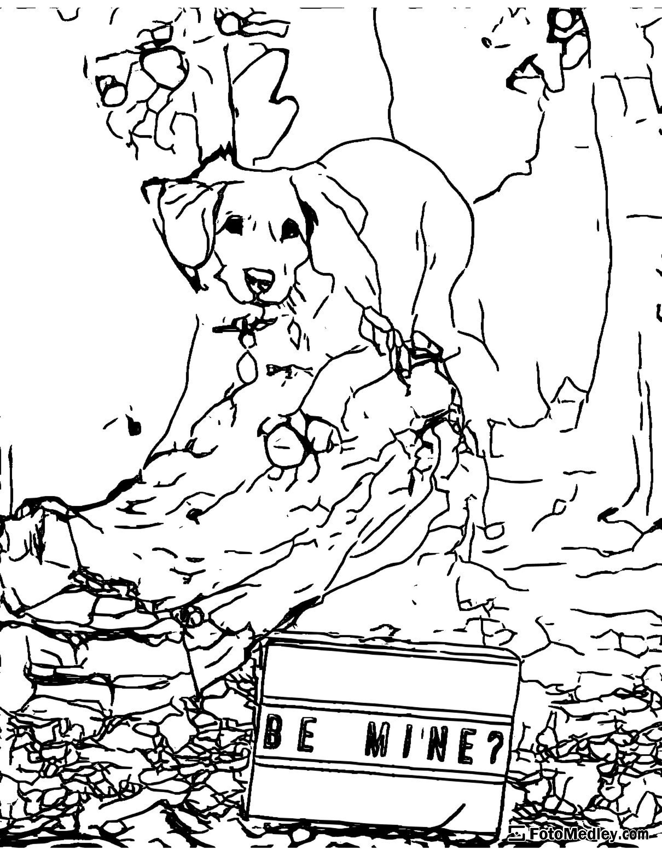 Cute dog valentines coloring page 