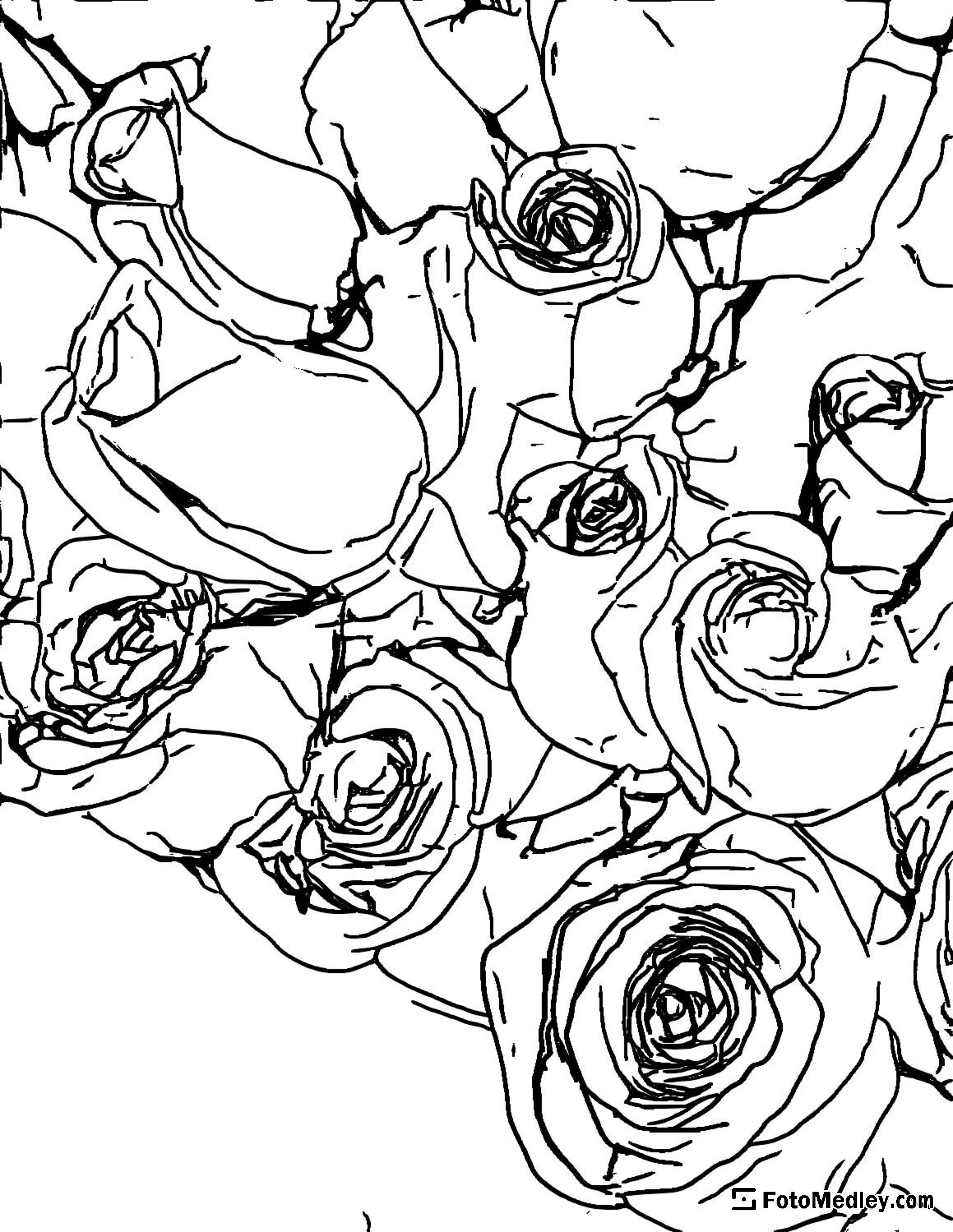 Beautiful roses coloring page for Valentines day