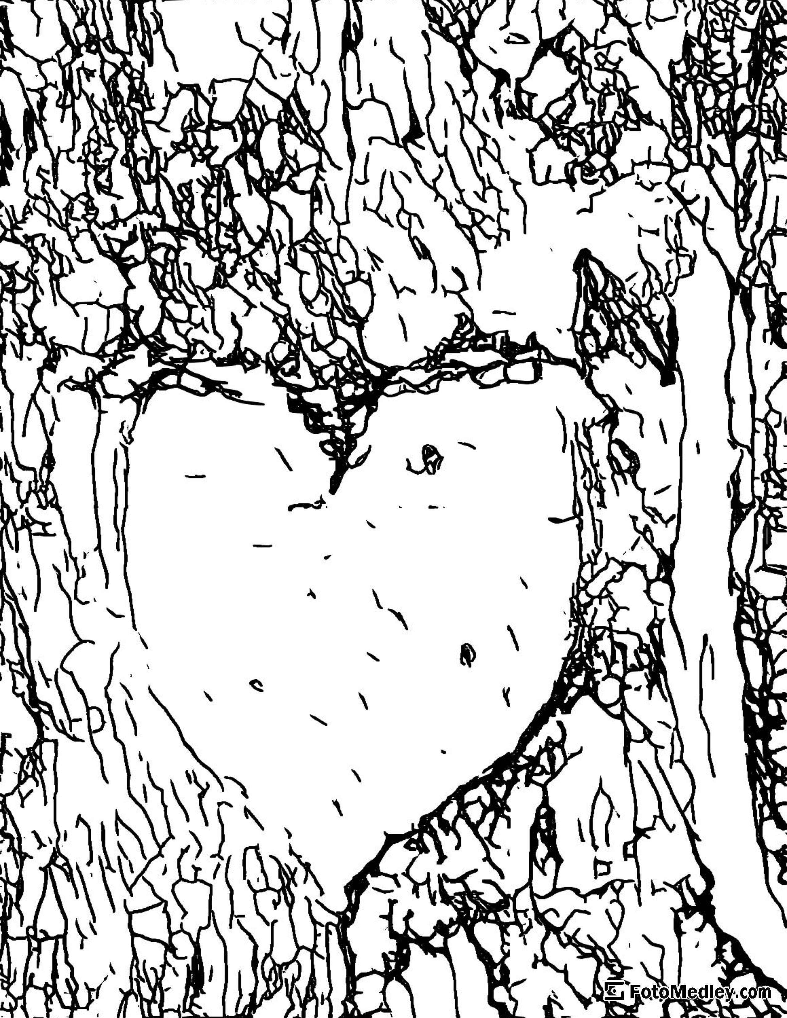 Free valentines coloring sheet